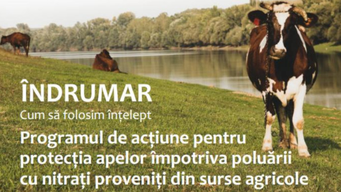 ÎNDRUMAR