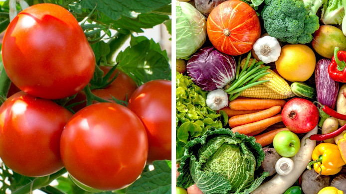 Programul Tomate şi  legume 2023